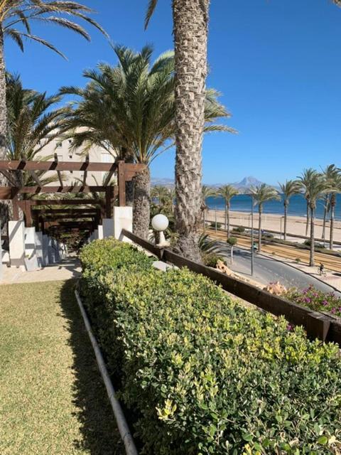 Altos Blancos Apartman El Campello Kültér fotó